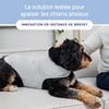 Weighted Calming Vest