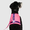 Chill Seeker Cooling Harness