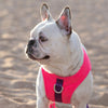 Chill Seeker Cooling Harness