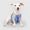 Chill Seeker Cooling Harness