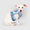 Chill Seeker Cooling Harness