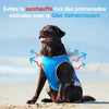 Chill Seeker Cooling Vest
