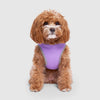 Chill Seeker Cooling Vest Wet Reveal