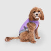Chill Seeker Cooling Vest Wet Reveal