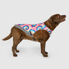 Chill Seeker Cooling Vest