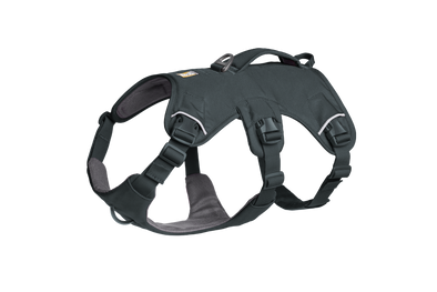 Web Master™ Dog Harness with Handle