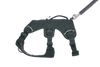 Web Master™ Dog Harness with Handle