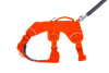 Web Master™ Dog Harness with Handle