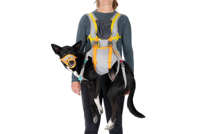 BackTrak™ Dog Evacuation Kit