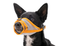 BackTrak™ Dog Evacuation Kit
