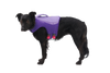 Float Coat™ Dog Life Jacket