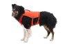 Confluence™ Dog Life Jacket