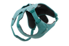 Web Master™ Dog Harness with Handle