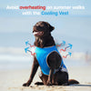 Chill Seeker Cooling Vest
