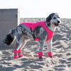 Chill Seeker Cooling Vest