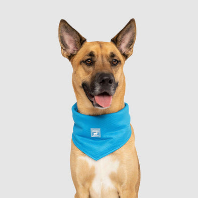 Cooling Bandana