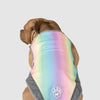 Chill Seeker Cooling Vest