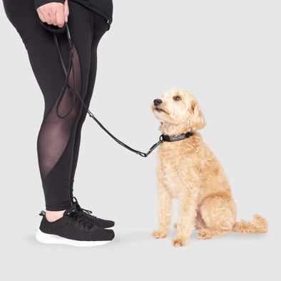 Utility Leash