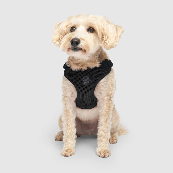Easy-On Step-In Harness