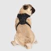 Eco+ Everything Harness