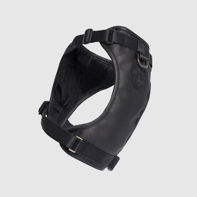 Eco+ Everything Harness