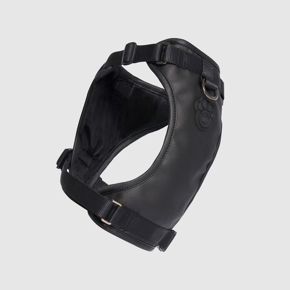 Eco+ Everything Harness