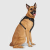 Eco+ Everything Harness