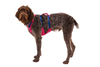 Flagline™ Dog Harness with Handle
