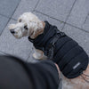 Harness Puffer