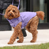 Harness Raincoat