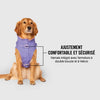 Harness Raincoat