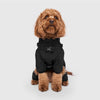 Harness Snow Suit