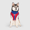 High Tide Life Jacket