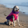 High Tide Life Jacket