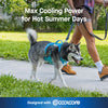 Max Chill Cooling Harness