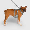Max Chill Cooling Harness