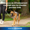 Max Chill Cooling Harness