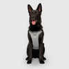 Max Chill Cooling Harness