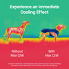 Max Chill Cooling Harness