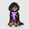 Max Chill Cooling Harness