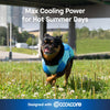 Max Chill Cooling Vest