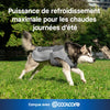 Max Chill Cooling Vest