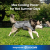 Max Chill Cooling Vest