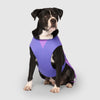 Max Chill Cooling Vest