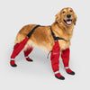 Suspender Boots