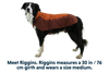 Vert™ Winter Dog Coat