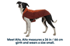 Vert™ Winter Dog Coat