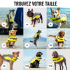 Wave Rider Life Jacket