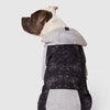 Whatever The Weather Hoodie