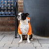 Whatever The Weather Hoodie